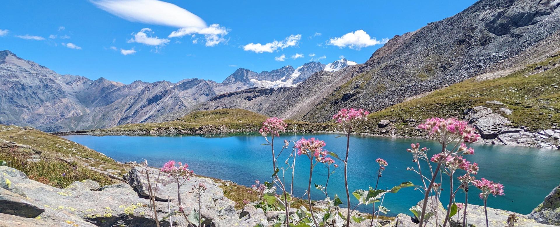 Gran Paradiso Ulusal Parkı