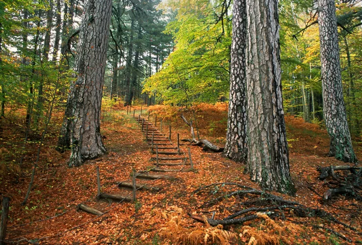 Sila Ulusal Parkı