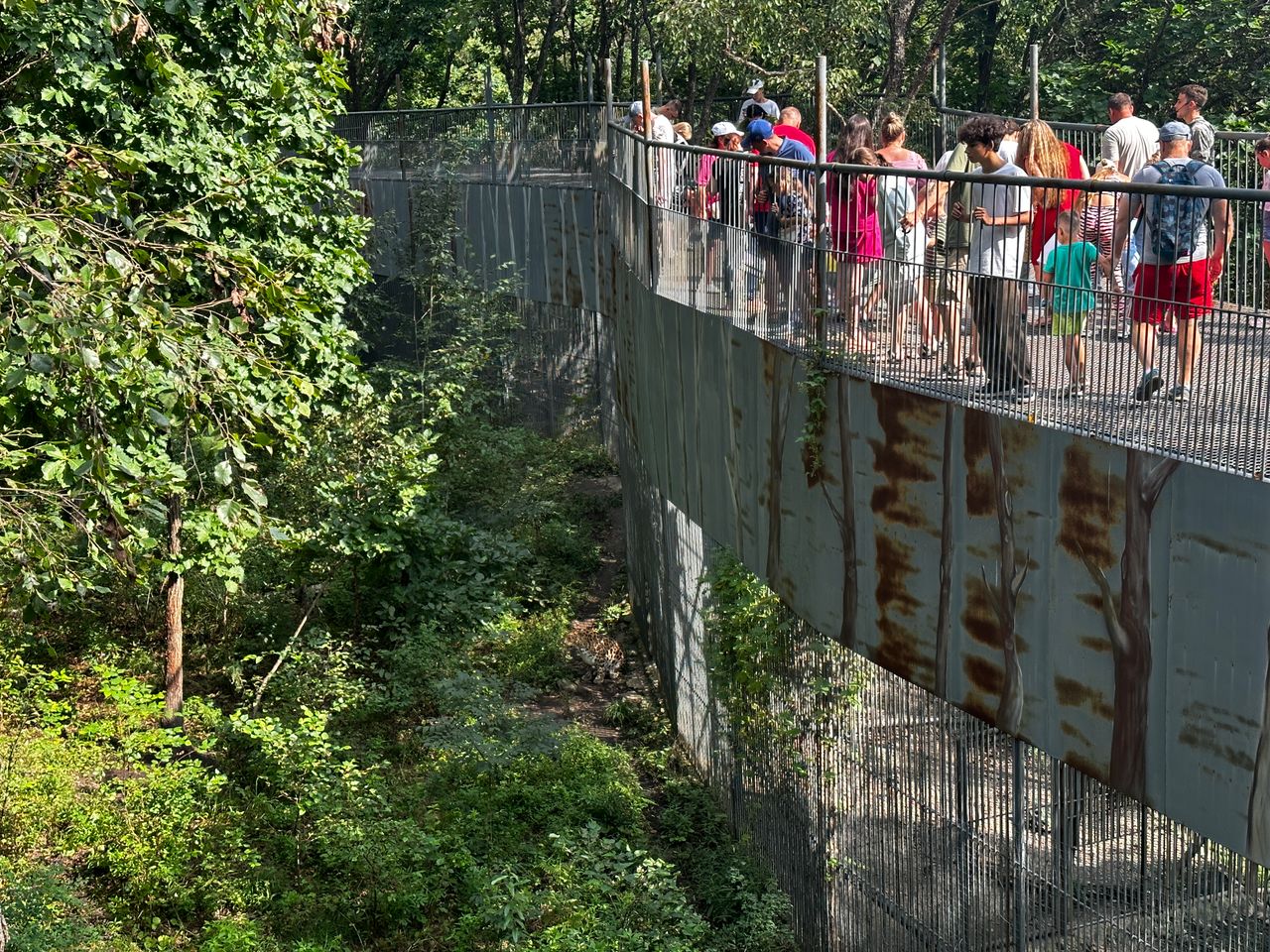 Vladivostok Safari Parkı