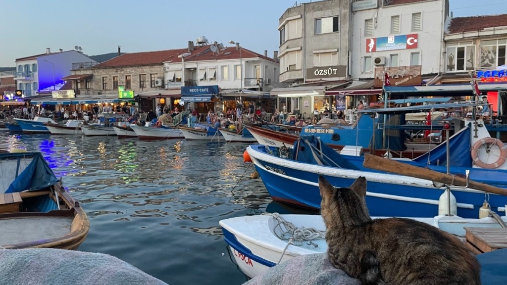 Foça (Eski Foça - Yeni Foça)