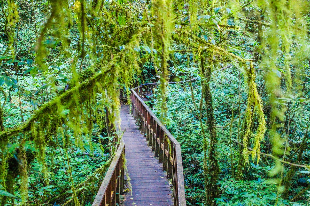 Doi Inthanon Ulusal Parkı