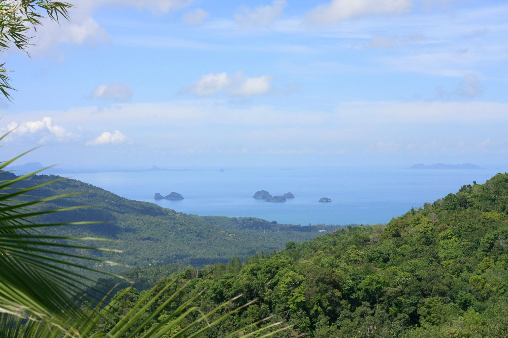 Samui Canopy Adventures