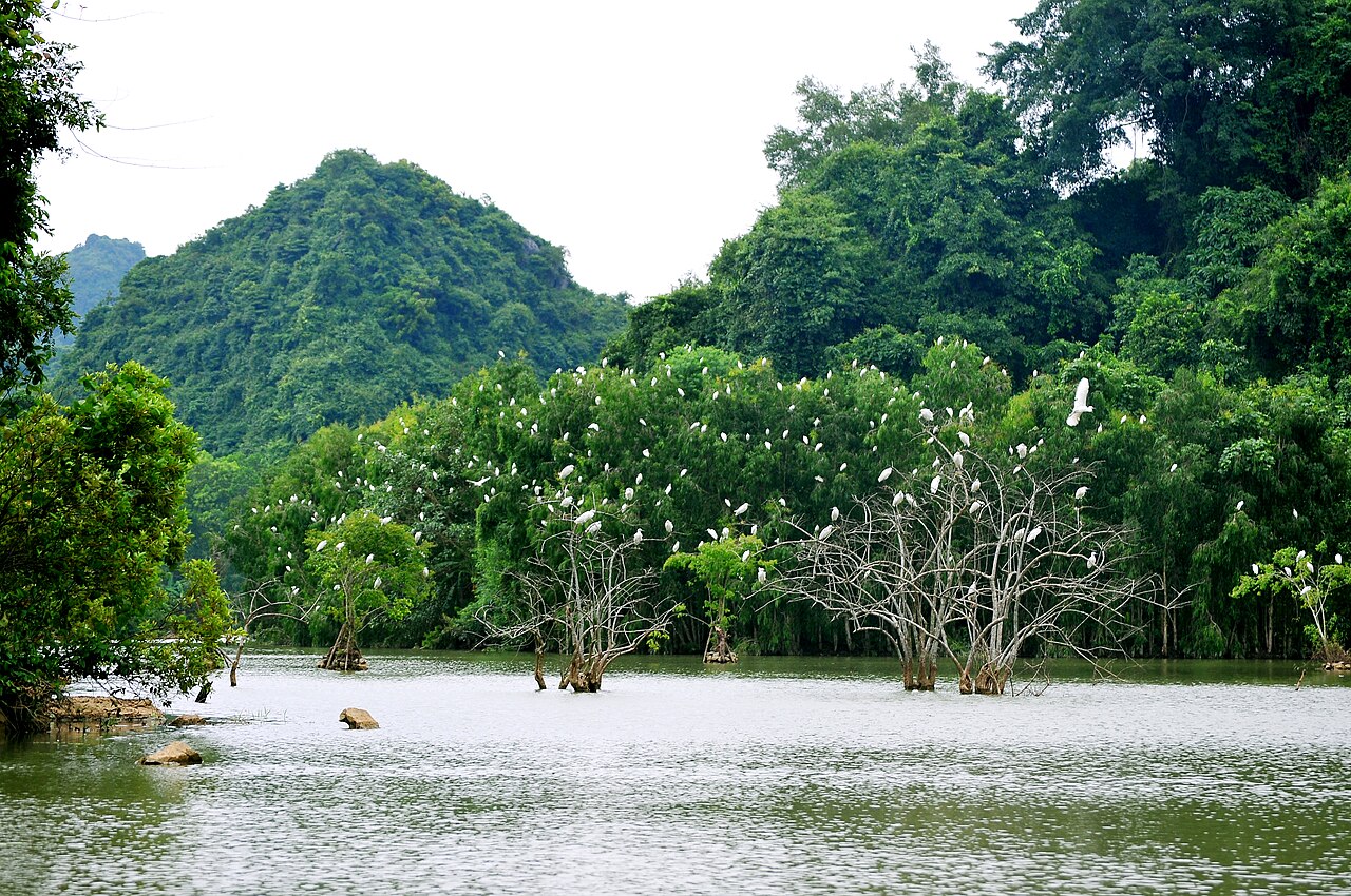 Thung Nham Bird Park