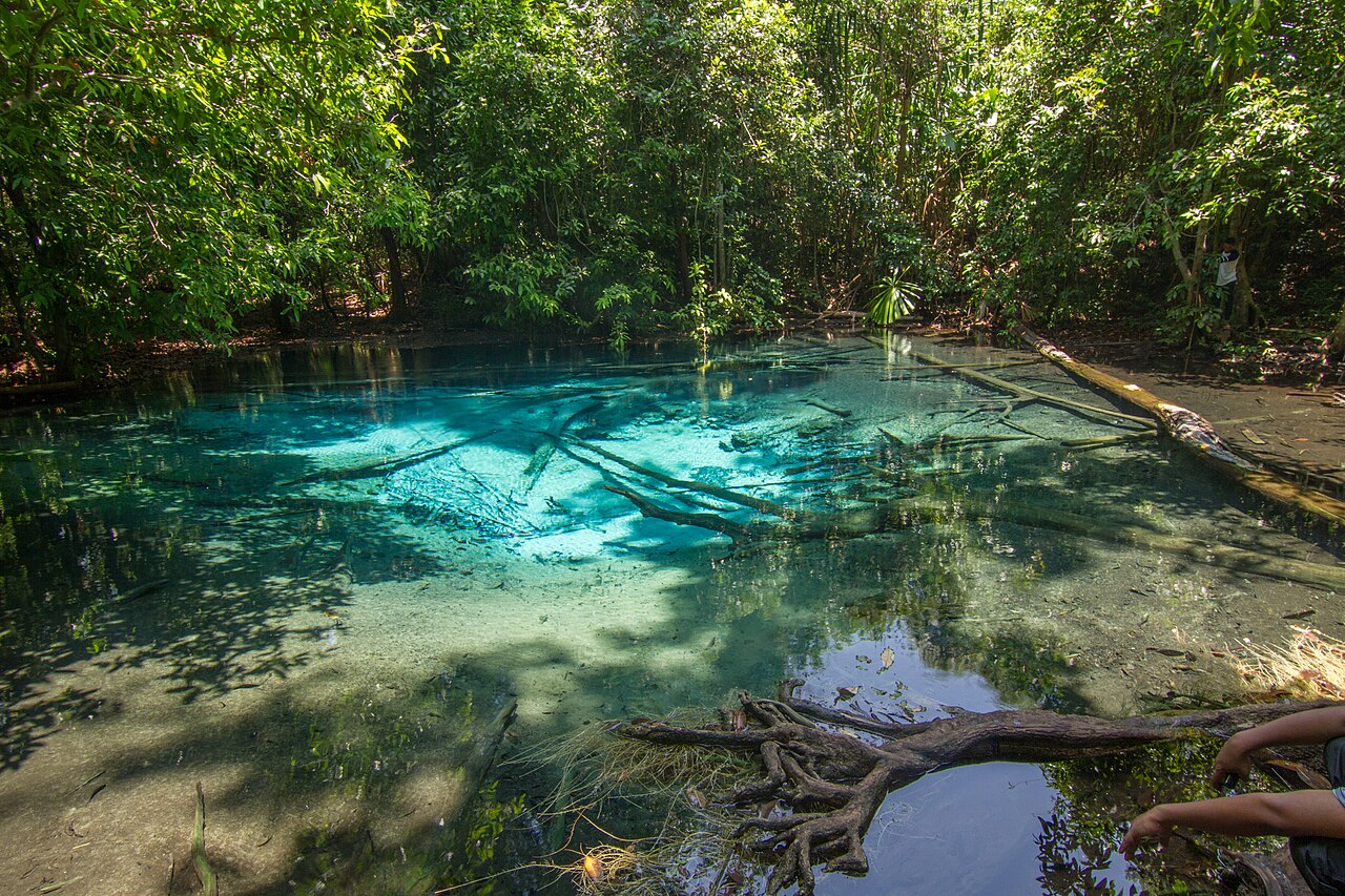 Thung Teao Forest Natural Park