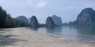 Trang
