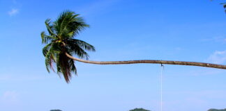 Trat