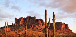 Arizona