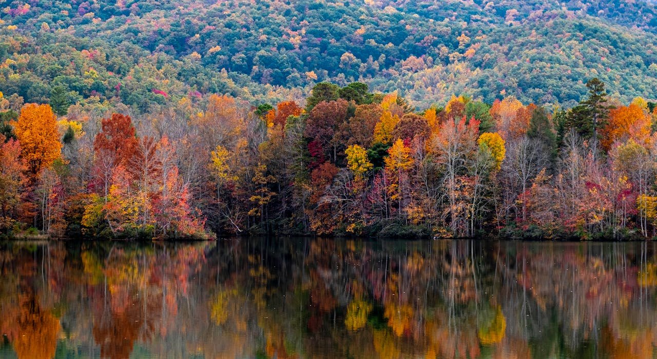 Blue Ridge Dağları