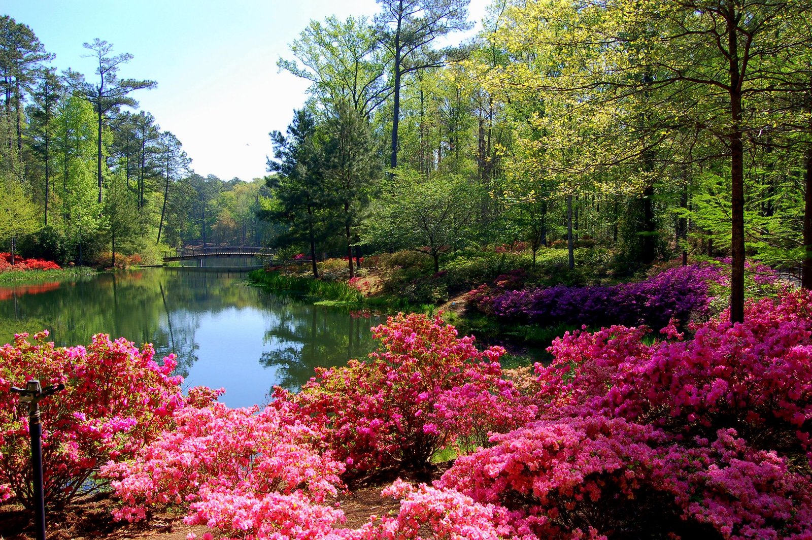 Callaway Gardens