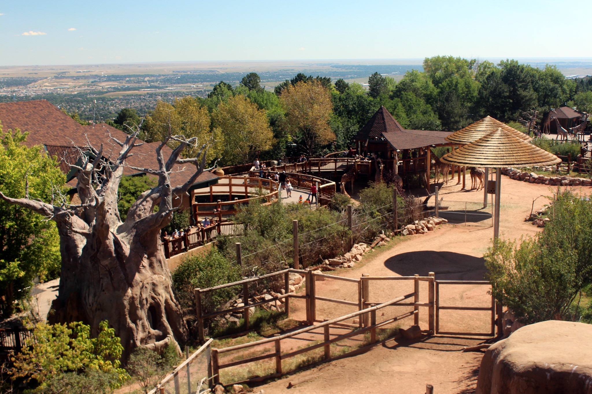 Cheyenne Mountain Zoo (Colorado Springs)