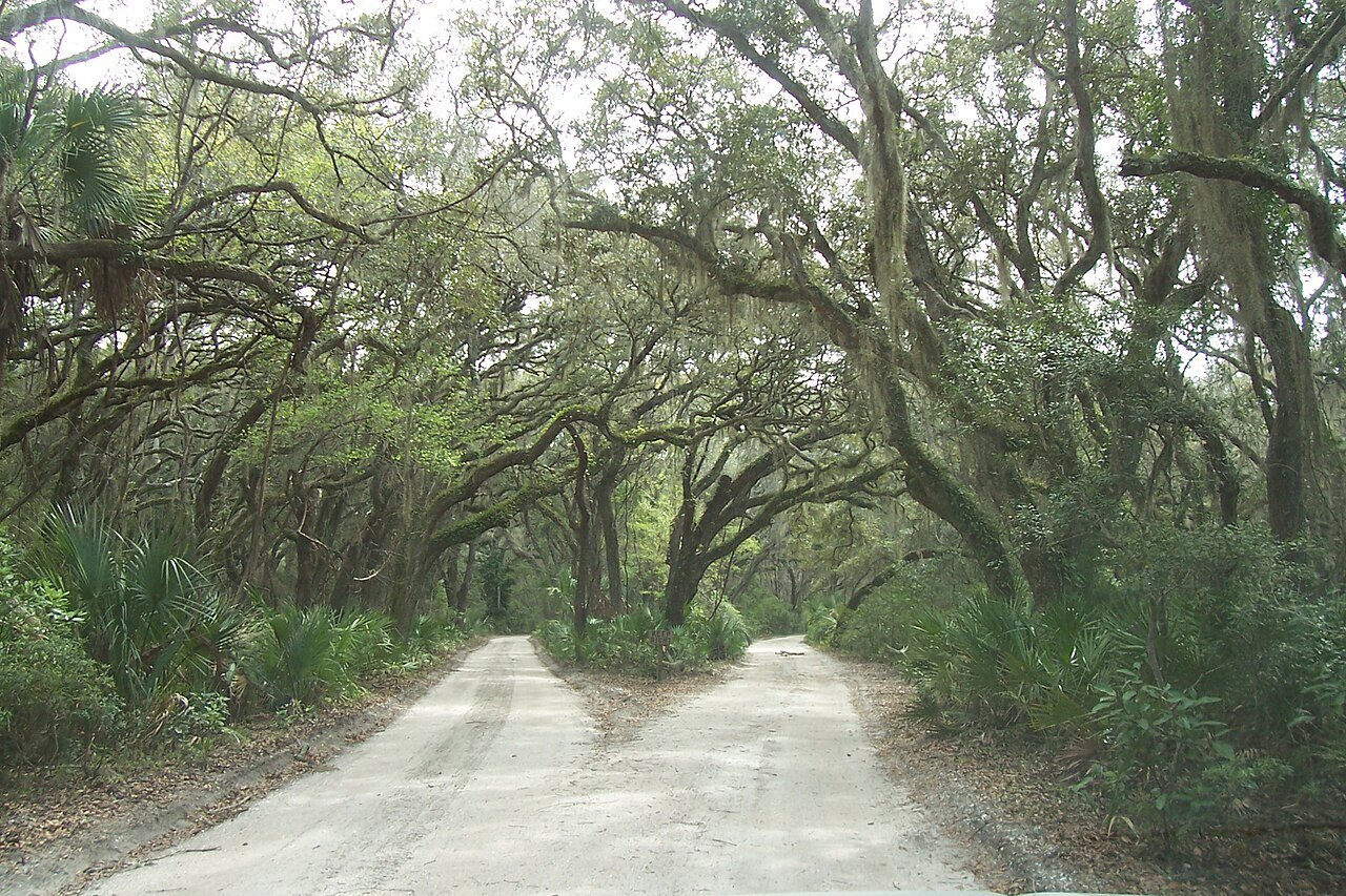 Cumberland Island National Seashore