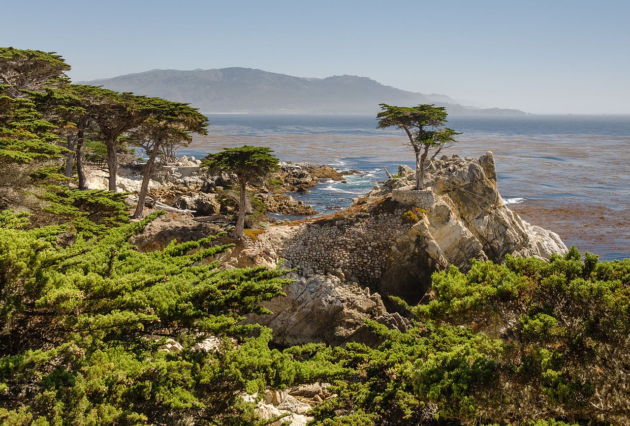 Monterey ve 17-Mile Drive