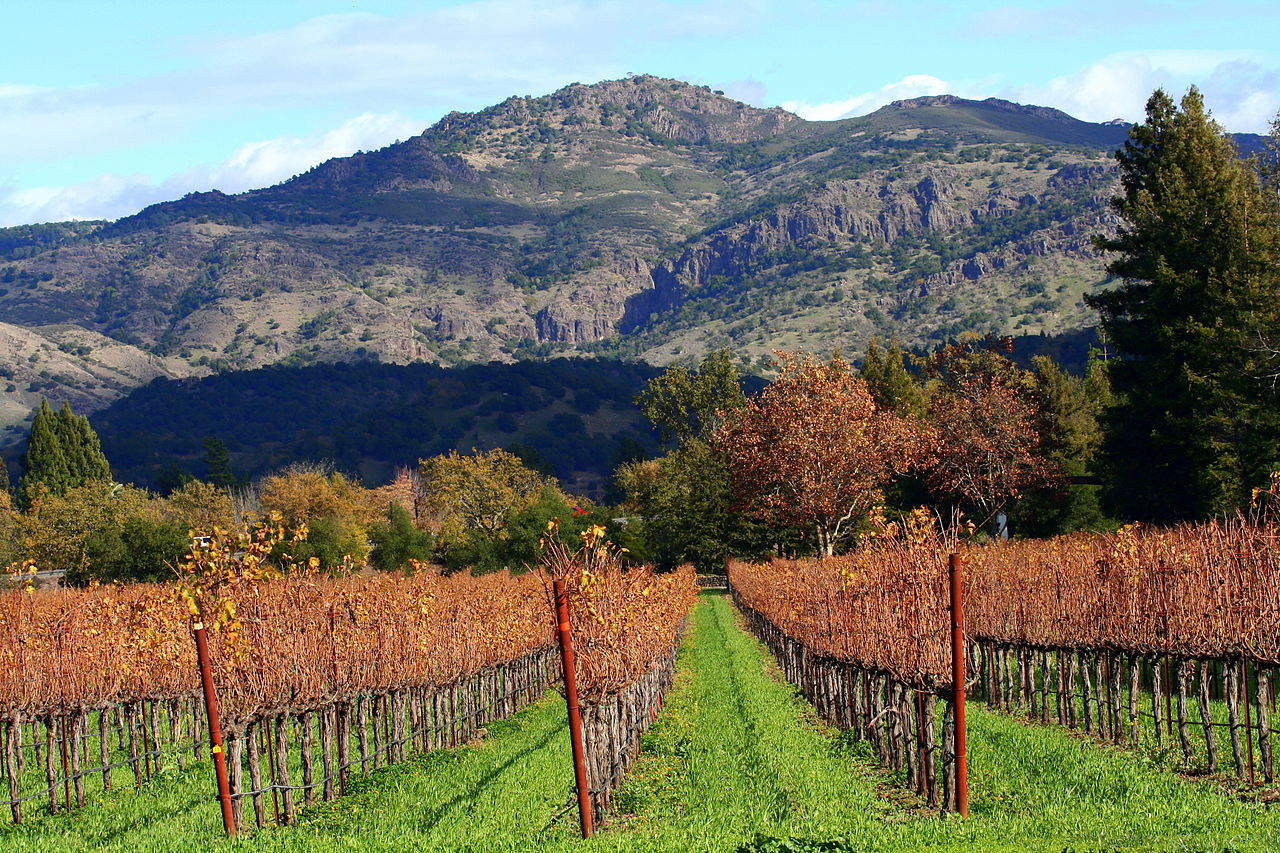 Napa Valley (vineyards)