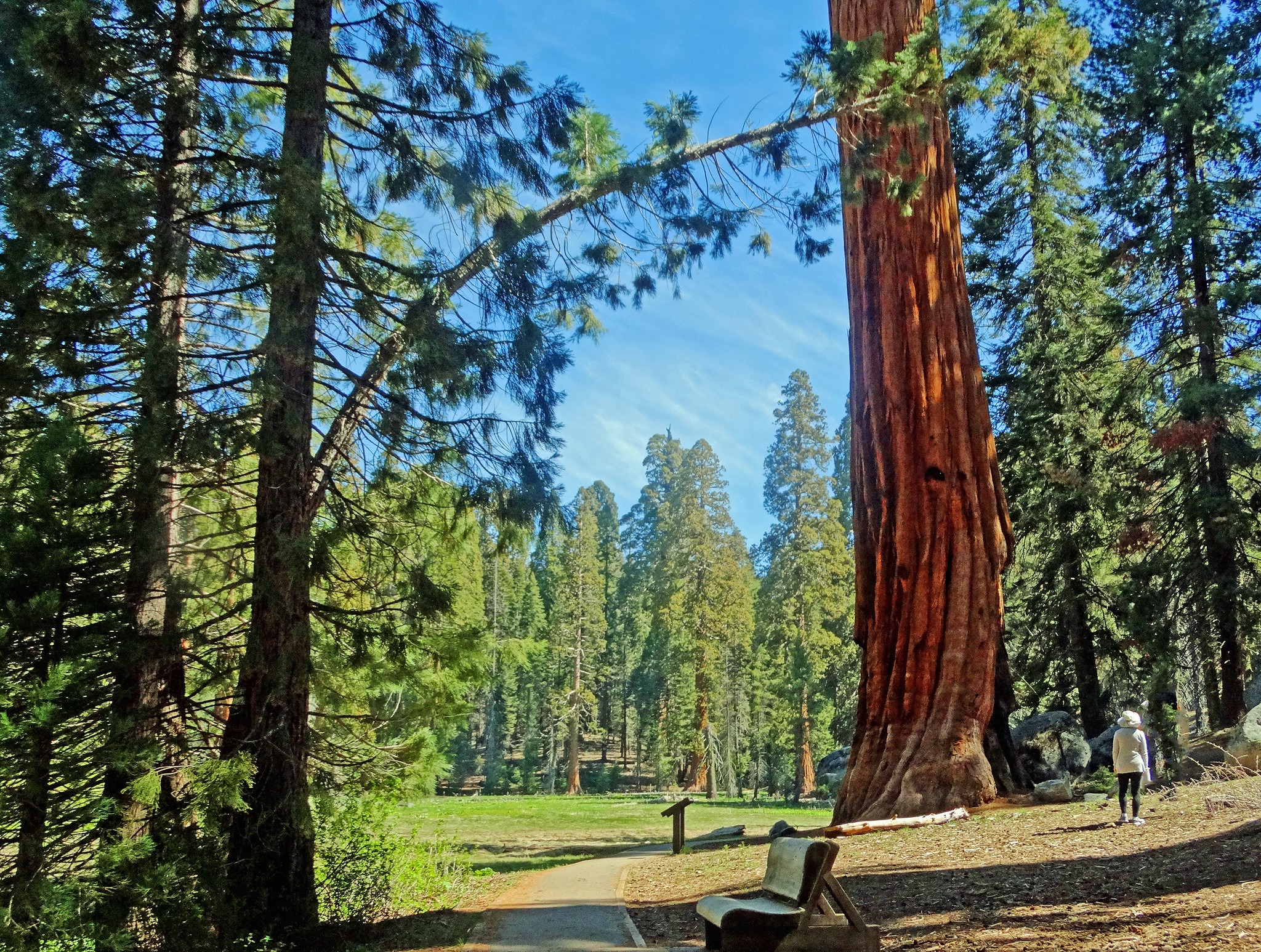 Sequoia National Park