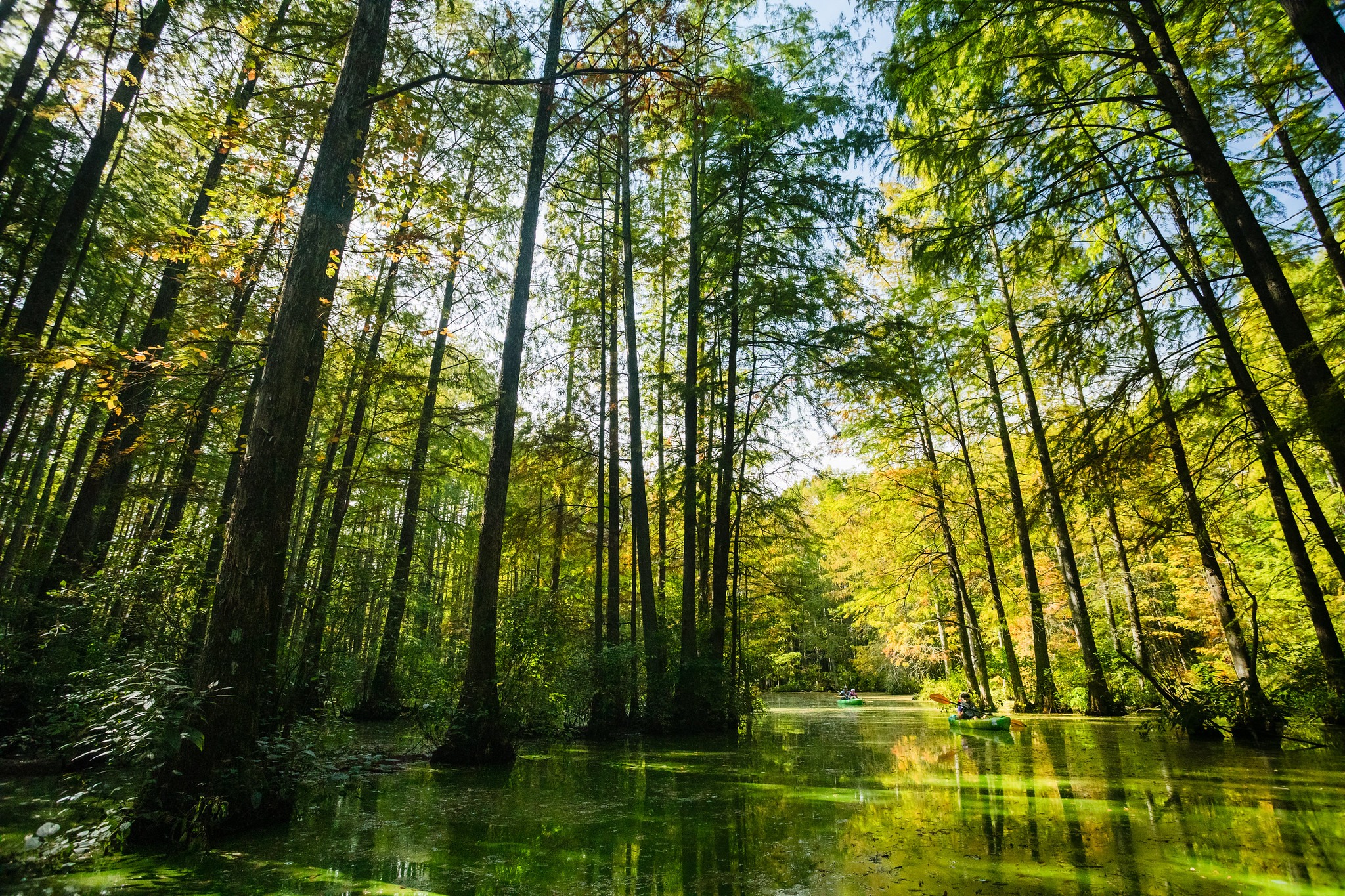 Trap Pond State Park