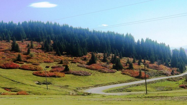 Ağaçbaşı Tabiat Parkı