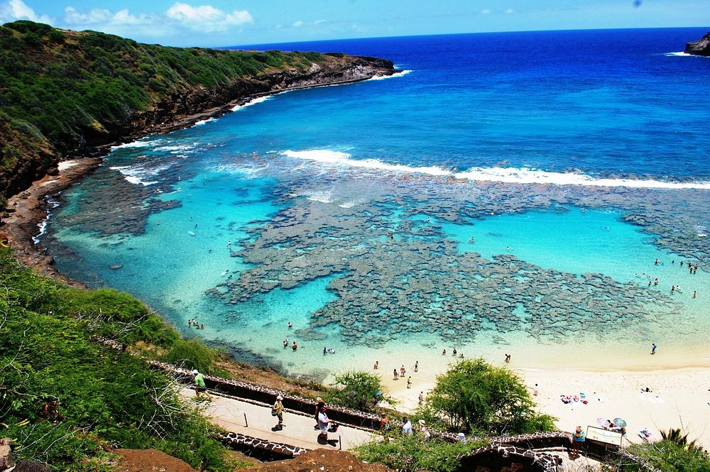 Hanauma Bay Doğa Koruma Alanı (Oahu)