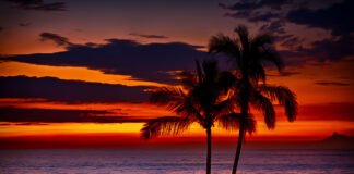 Hawaii'de Gezilebilecek Popüler 20 Yer