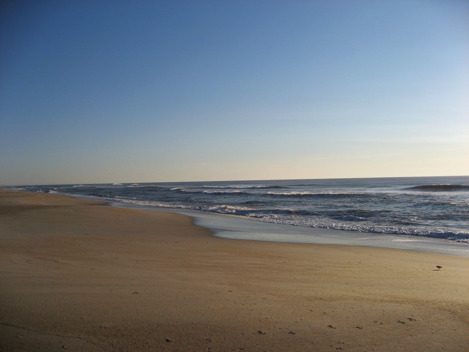 Assateague Island National Seashore