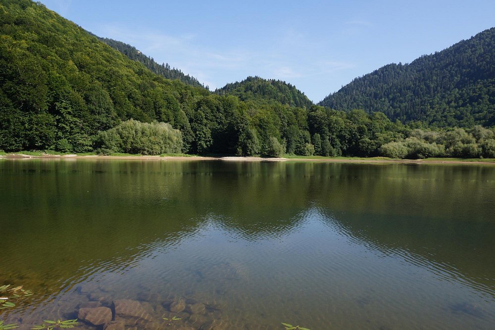 Biogradska Gora Milli Parkı