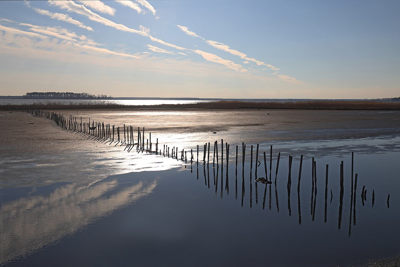 Blackwater National Wildlife Refuge