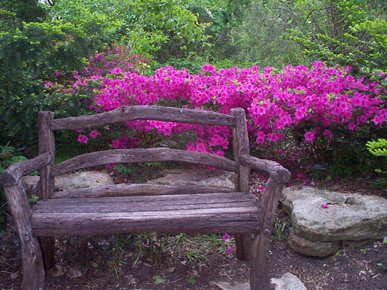 Botanica Wichita Gardens (Wichita)