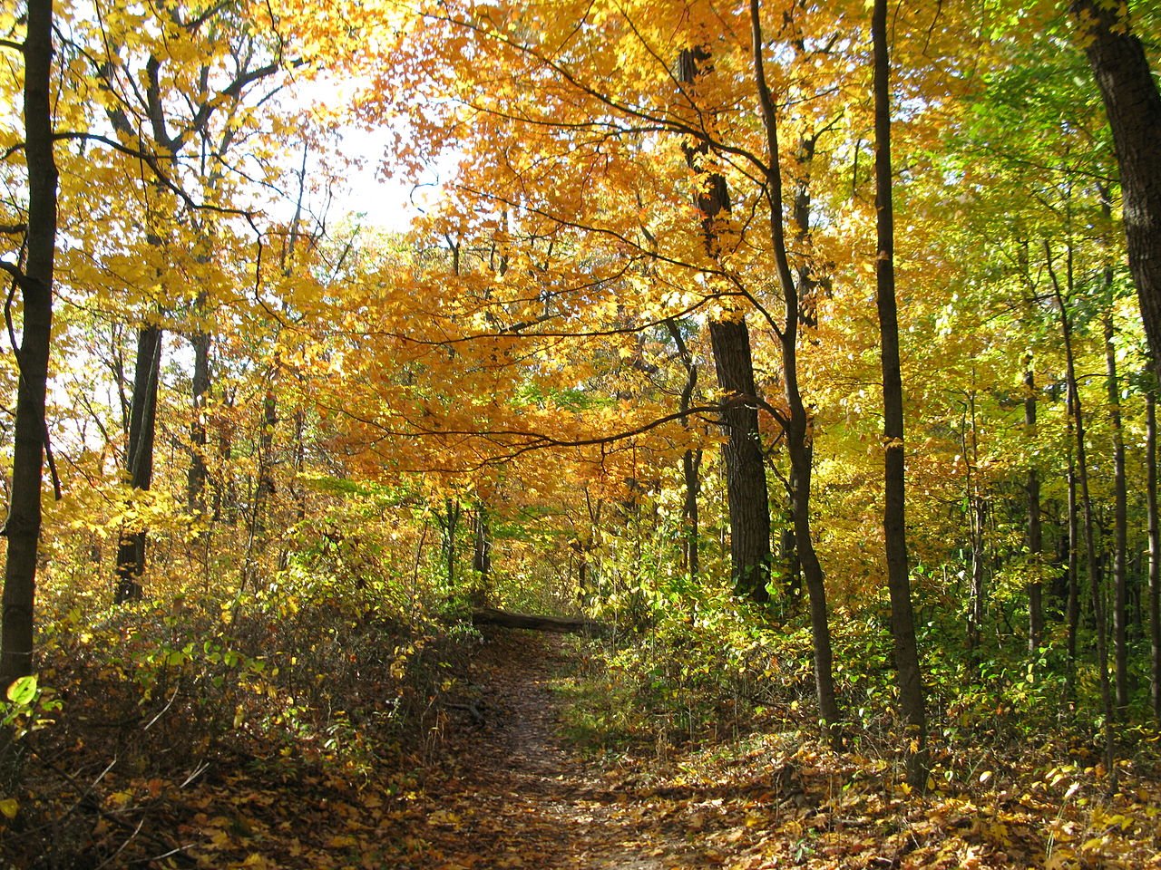 Brown County State Park