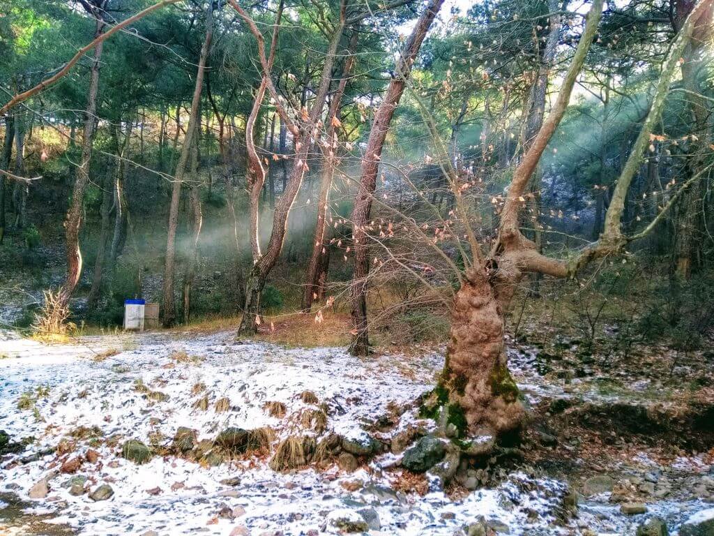 Dereköy Kamp Alanı