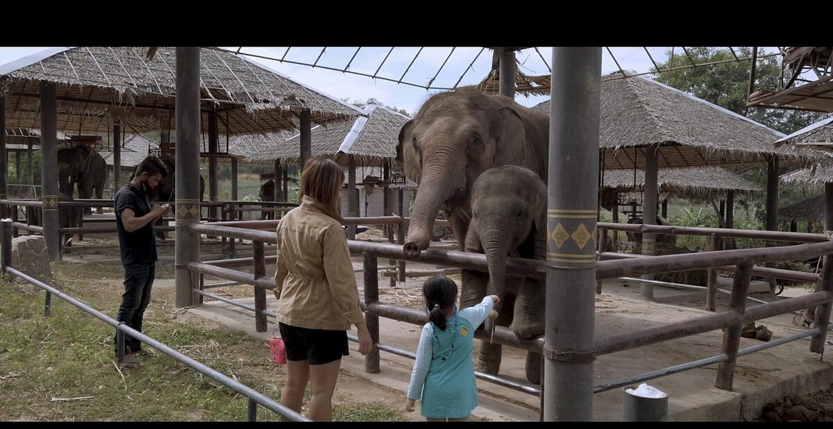 Hua Hin Safari & Adventure Park