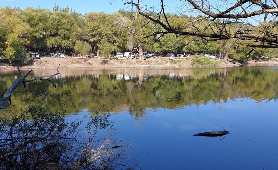 Karagöl Orman Kampı (Menemen)