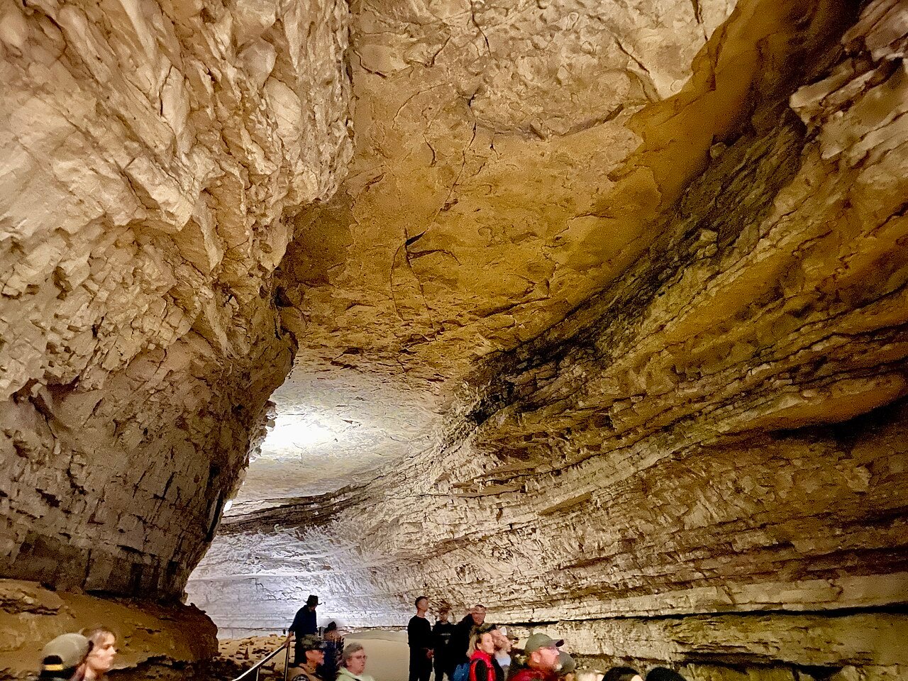 Mammoth Cave National Park