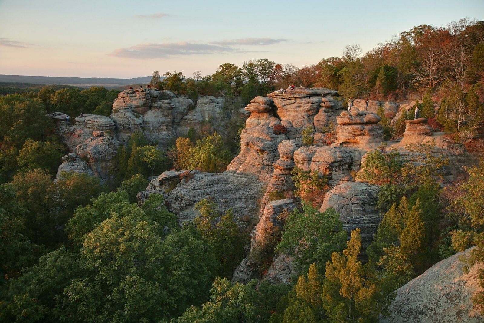 Shawnee National Forest (Güney Illinois)