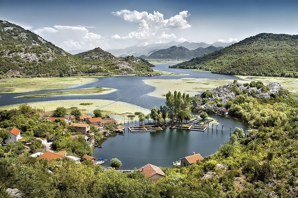 Skadar Gölü (Lake Skadar)